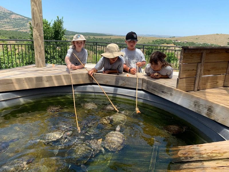 Photo from the Medicine Park Aquarium